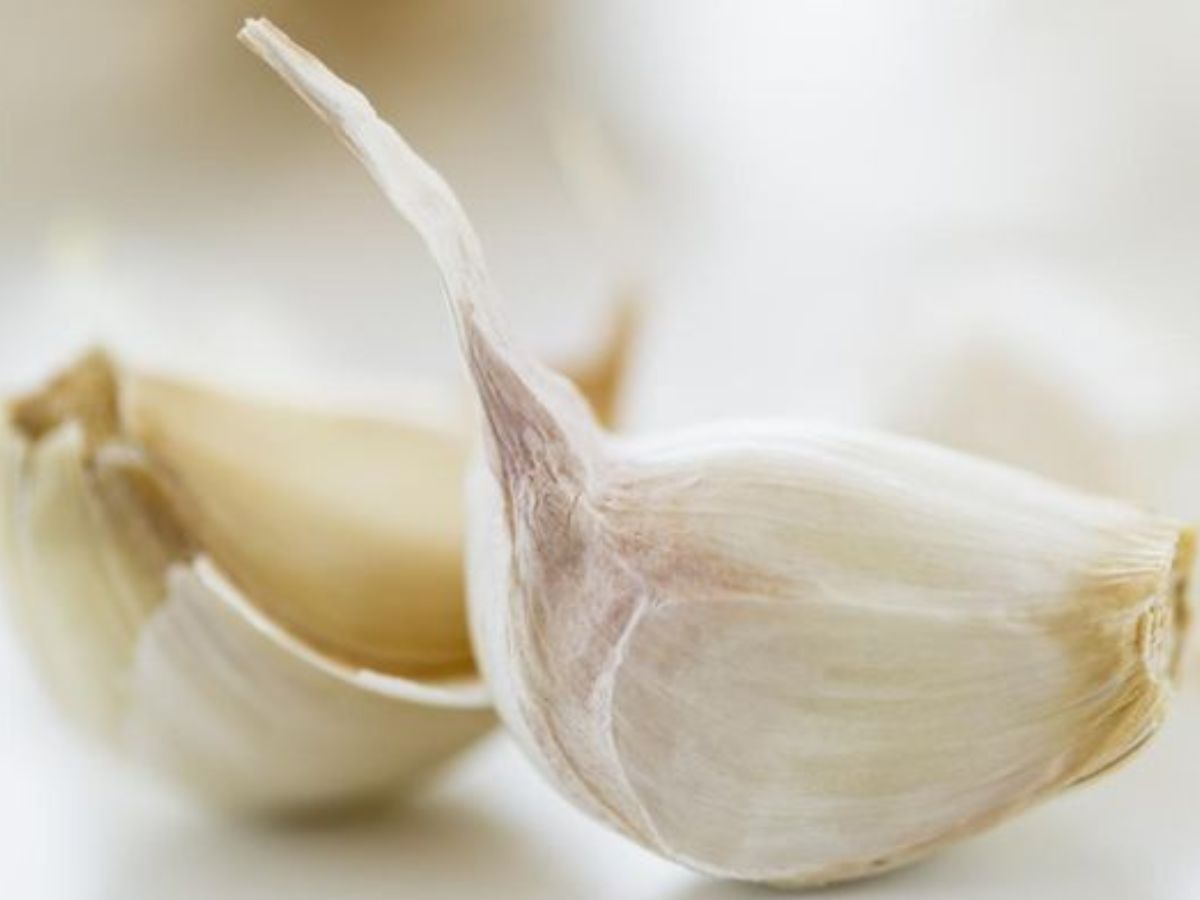 Benefits of Garlic In Hindi benefits of just 1 clove of garlic on empty
