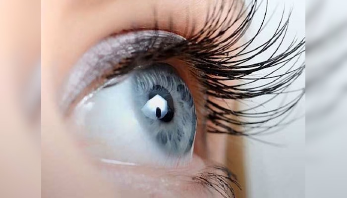 खाएं ये 8 चीजें, दूरबीन की तरह आंखे करेंगी काम 