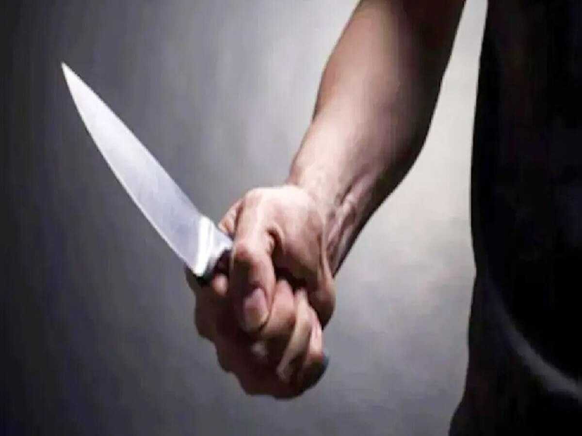 Nawada Crime: भाई ही निकला सगे भाई का कातिल, 28 बार किया चाकू से हमला, हत्या 