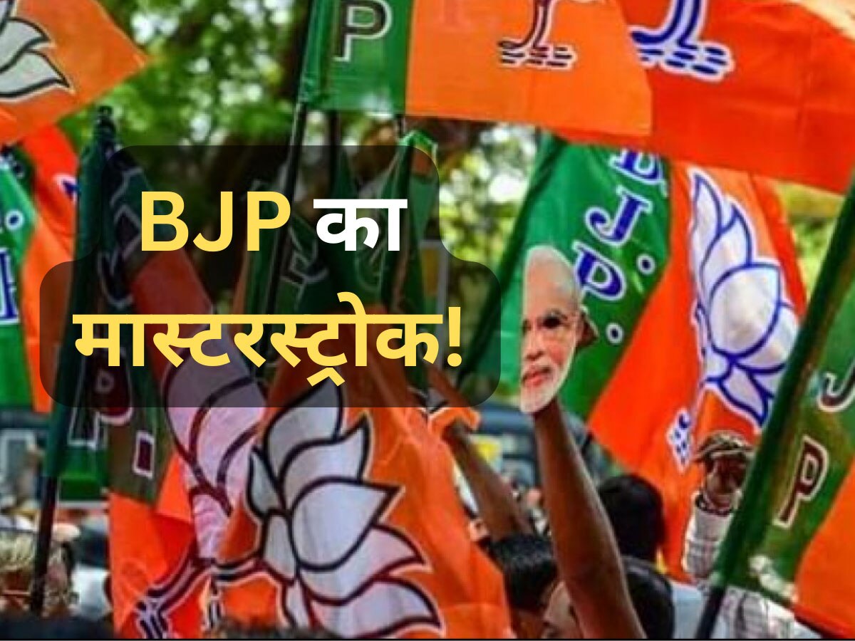 Lok Sabha Election: 2024 से पहले BJP का मास्टरस्ट्रोक! राष्ट्रीय कार्यकारिणी में शामिल किए ये 10 दिग्गज नेता