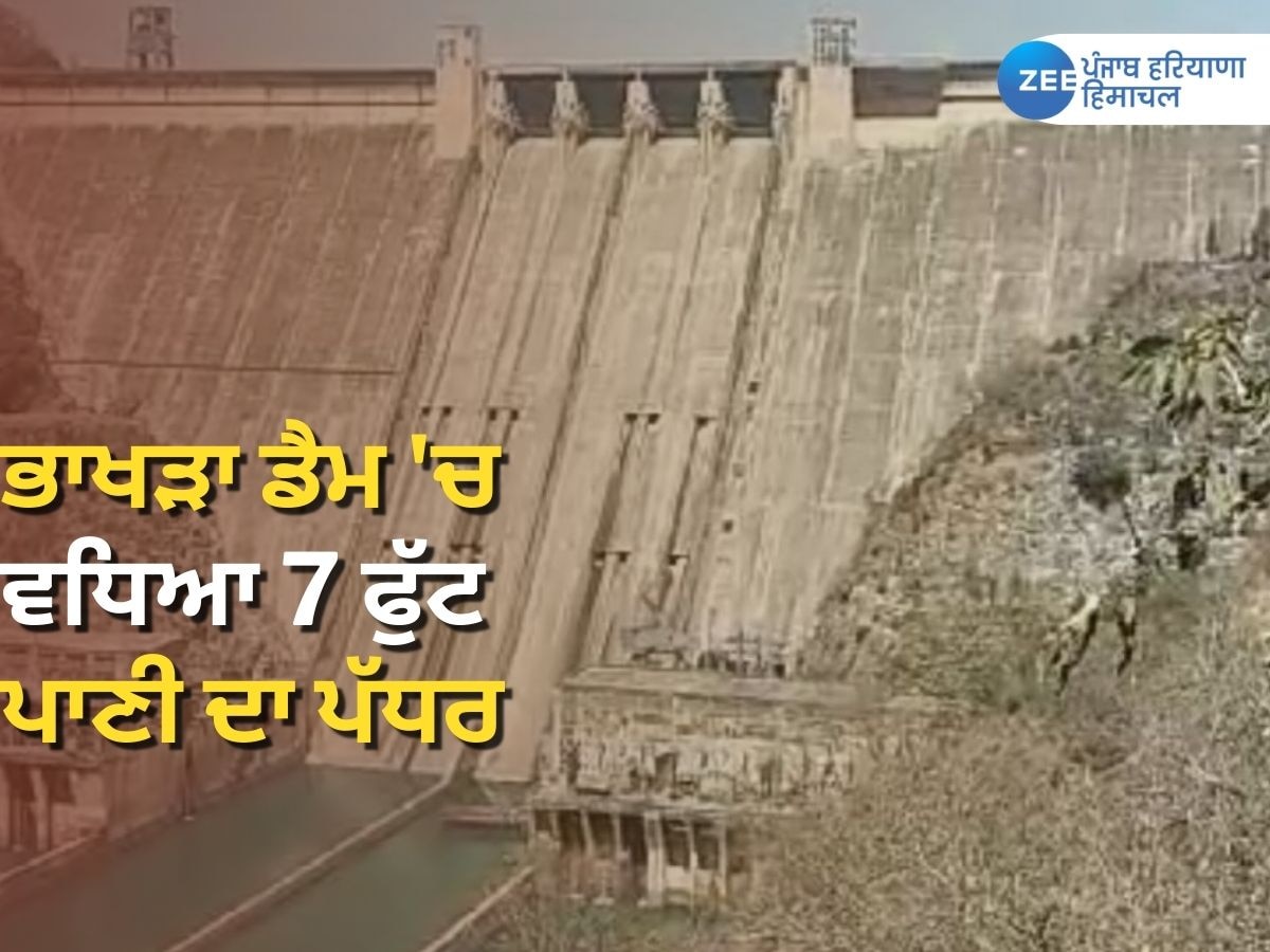Bhakra Dam: ਭਾਰੀ ਮੀਂਹ ਕਾਰਨ ਭਾਖੜਾ ਡੈਮ 'ਚ ਇੱਕ ਦਿਨ 'ਚ 7 ਫੁੱਟ ਵਧਿਆ ਪਾਣੀ ਦਾ ਪੱਧਰ