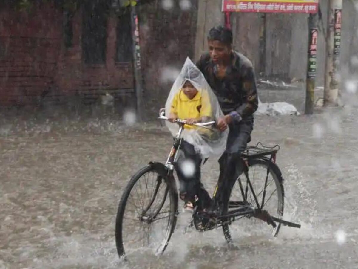 Today Rains: हरियाणा में आज भी होगी बारिश, IMD ने इन जिलों में ऑरेंज तो इनमें किया येलो अलर्ट जारी 
