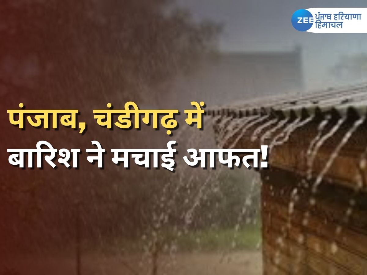 Chandigarh visual data 8