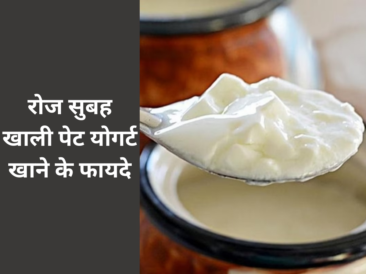 Yogurt: रोज सुबह खाली पेट योगर्ट  खाने से वजन होता है कम, बॉडी को मिलते हैं ये चौंकाने वाले लाभ