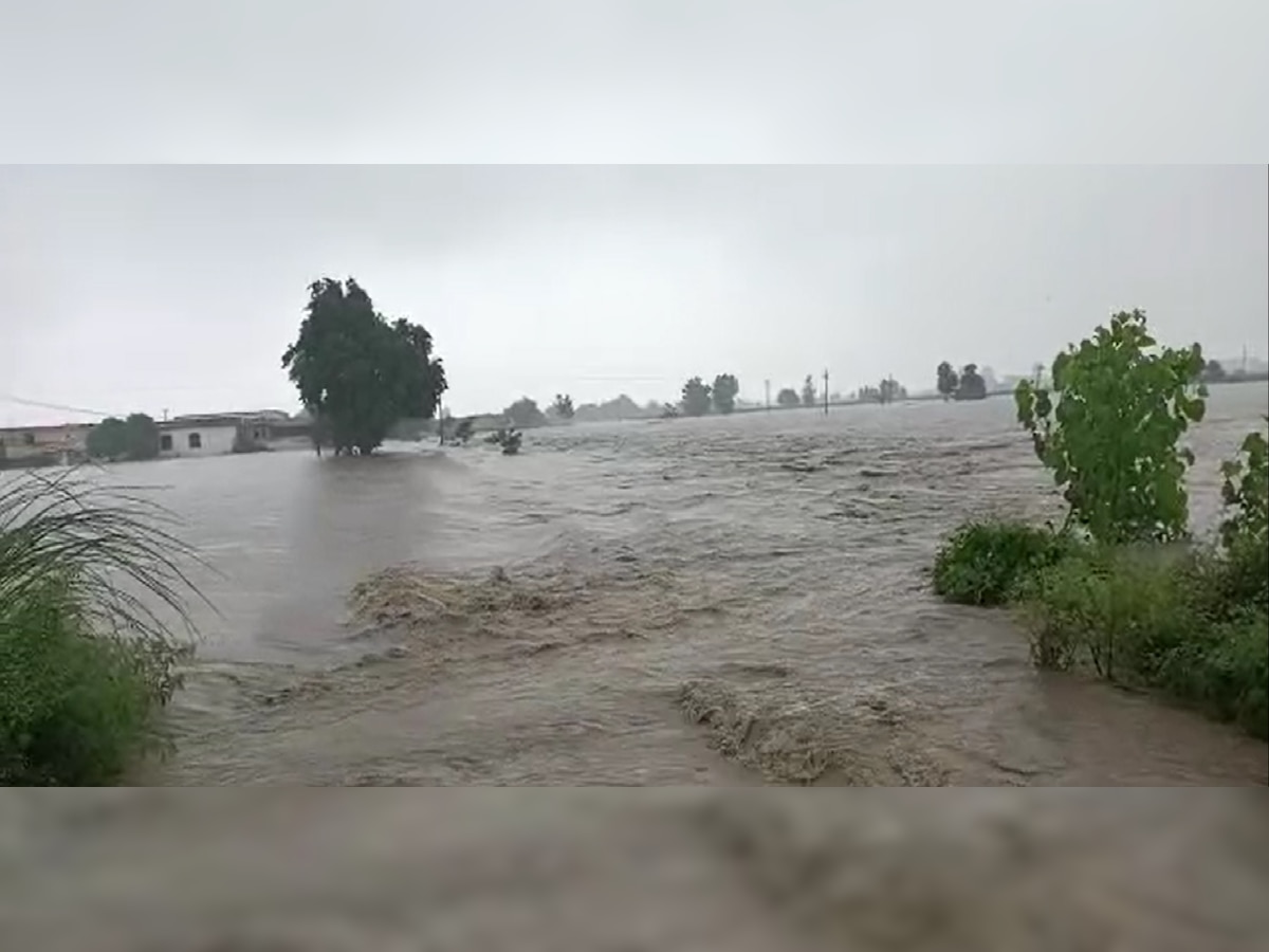 हरियाणा के कई जिलों पर मंडराया बाढ़ का खतरा, सभी मुख्य नदियां उफान पर, खतरे के निशान के करीब पहुंचा जलस्तर