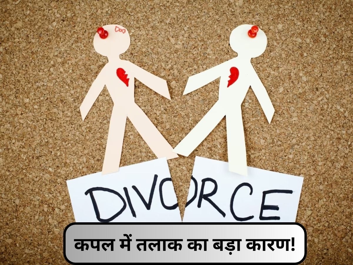 Divorce Reason: कपल के बीच तलाक का कारण हैं ये 3 बड़ी गलतियां, कपल जरूर जानें