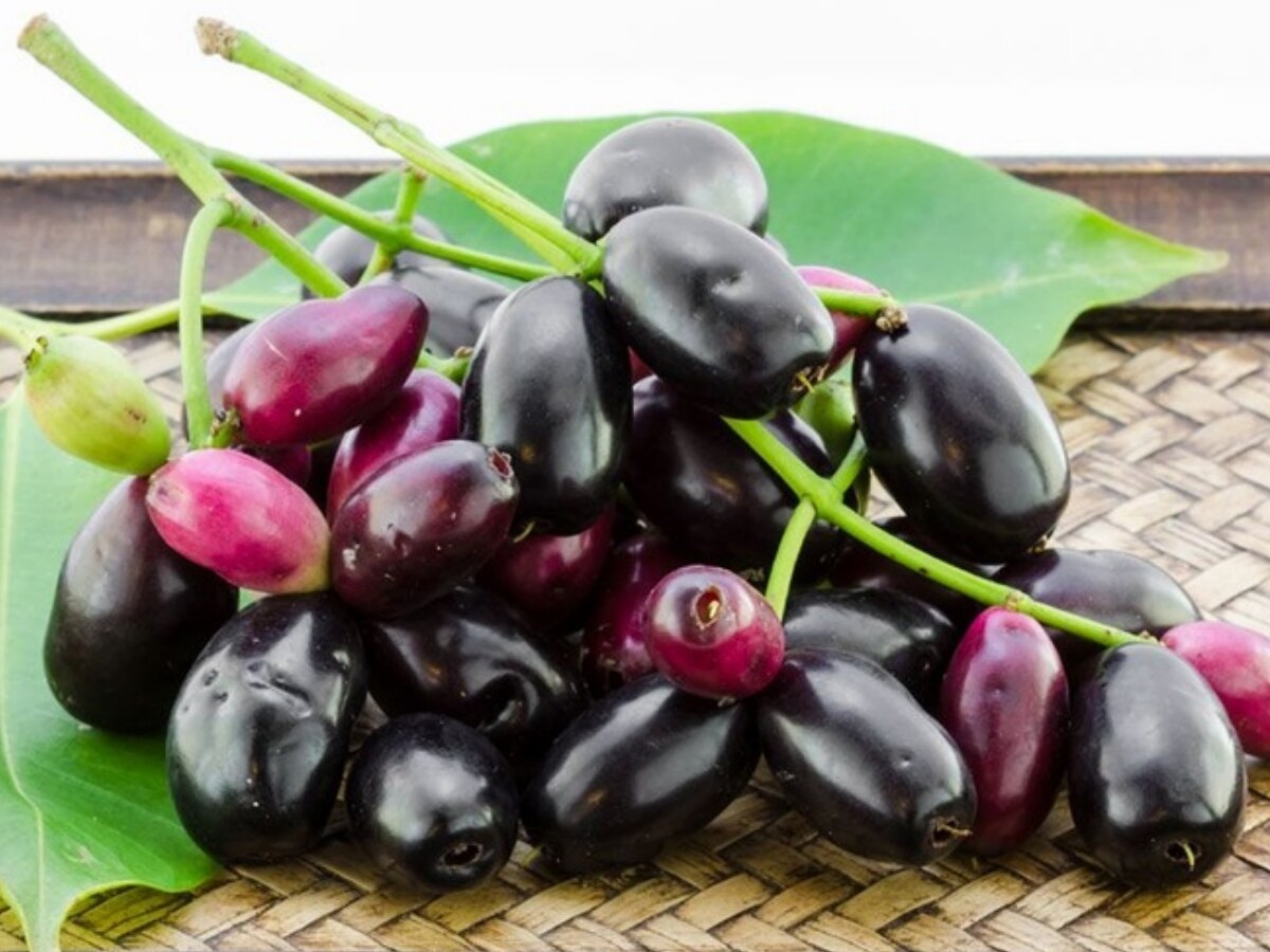 jamun ke fayde Cure 11 These Diseases health benefits of jamun in hindi