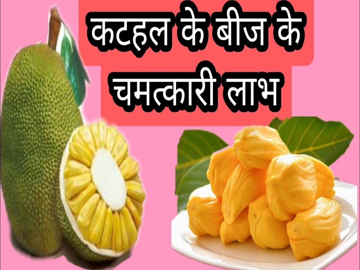 Jackfruit Seeds Benefits: कटहल के बीजों को डस्बीन में फेंकने से पहले जान लें ये हैरान करने वाले फायदे