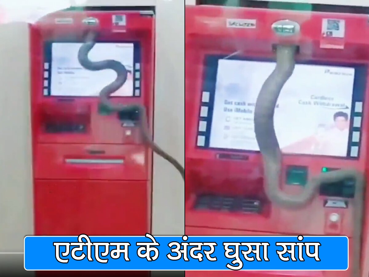 ATM में घुस गया खतरनाक सांप, पैसे निकालने के लिए आया शख्स तो देखा भयानक नजारा; VIDEO वायरल