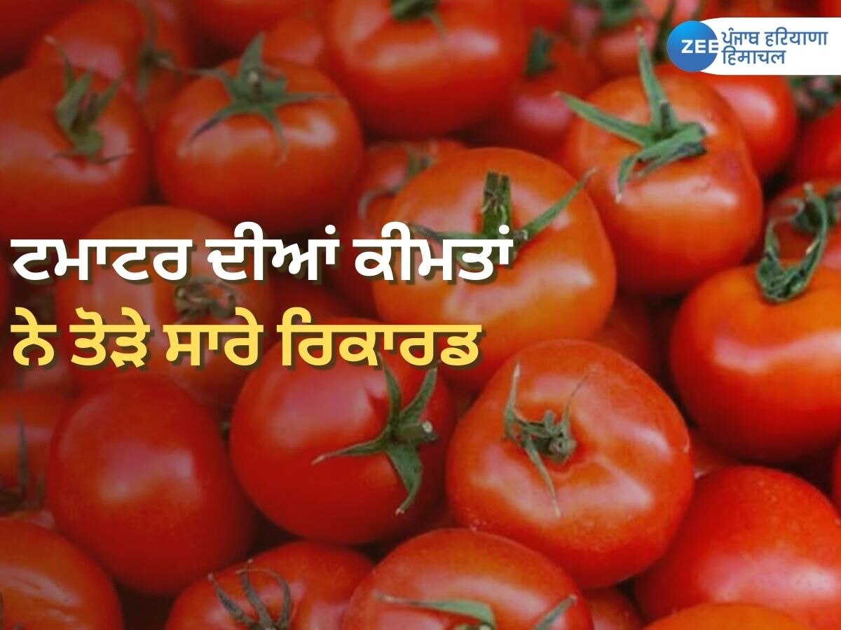  Tomato Rate Today: ਬਾਰਿਸ਼ ਕਰਕੇ ਮਹਿੰਗੀ ਹੋਈ ਸਬਜ਼ੀ ! ਟਮਾਟਰ ਦੀਆਂ ਕੀਮਤਾਂ ਨੇ ਤੋੜੇ ਸਾਰੇ ਰਿਕਾਰਡ