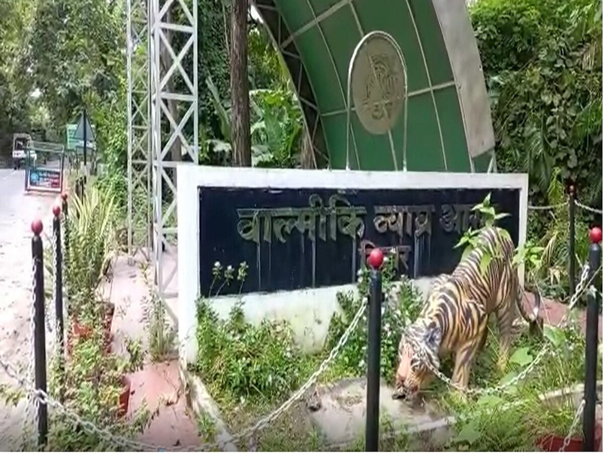 Bihar: वाल्मीकि नगर रोड रेलवे स्टेशन परिसर में नजर आया बाघ, इलाके में भय का माहौल