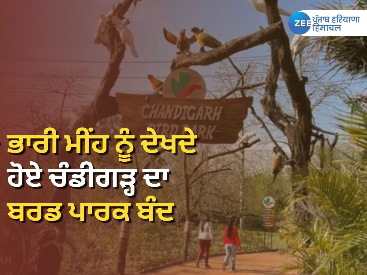 Chandigarh Bird Park Closed News: ਭਾਰੀ ਮੀਂਹ ਕਾਰਨ ਚੰਡੀਗੜ੍ਹ ਦਾ ਬਰਡ ਪਾਰਕ ਬੰਦ