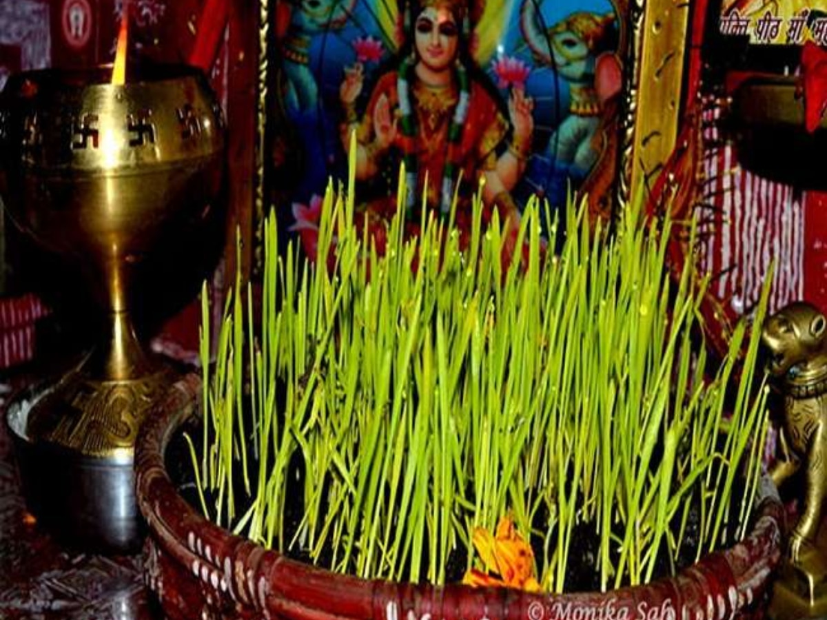 harela-festival-2023-date-why-harela-festival-is-celebrated-and