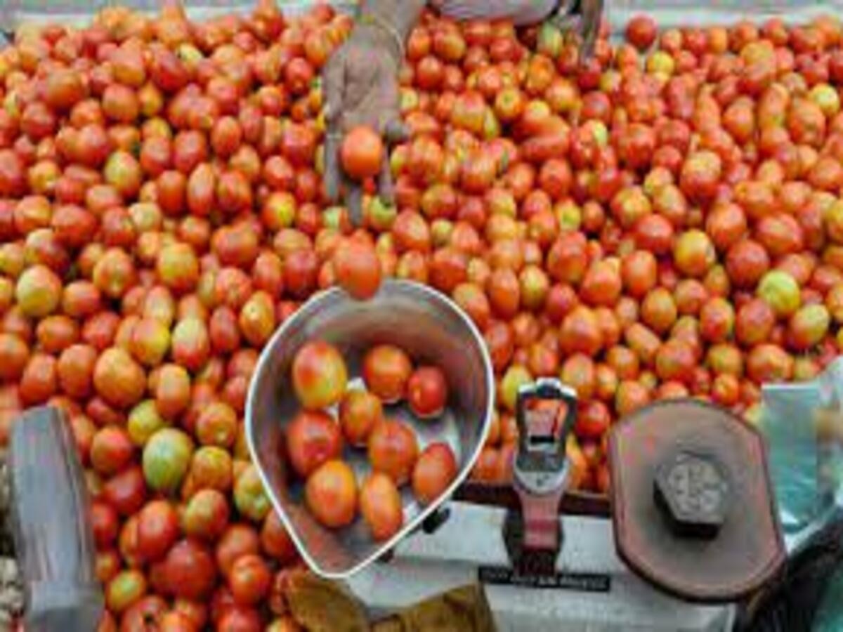  Tomato Price Today: ପ୍ରବଳ ବର୍ଷା ମଧ୍ୟରେ ମହଙ୍ଗା ହେଲା ପନିପରିବା, ପୁରୁଣା ରେକର୍ଡ ଭାଙ୍ଗିଲା ଟମାଟୋ ଦର 