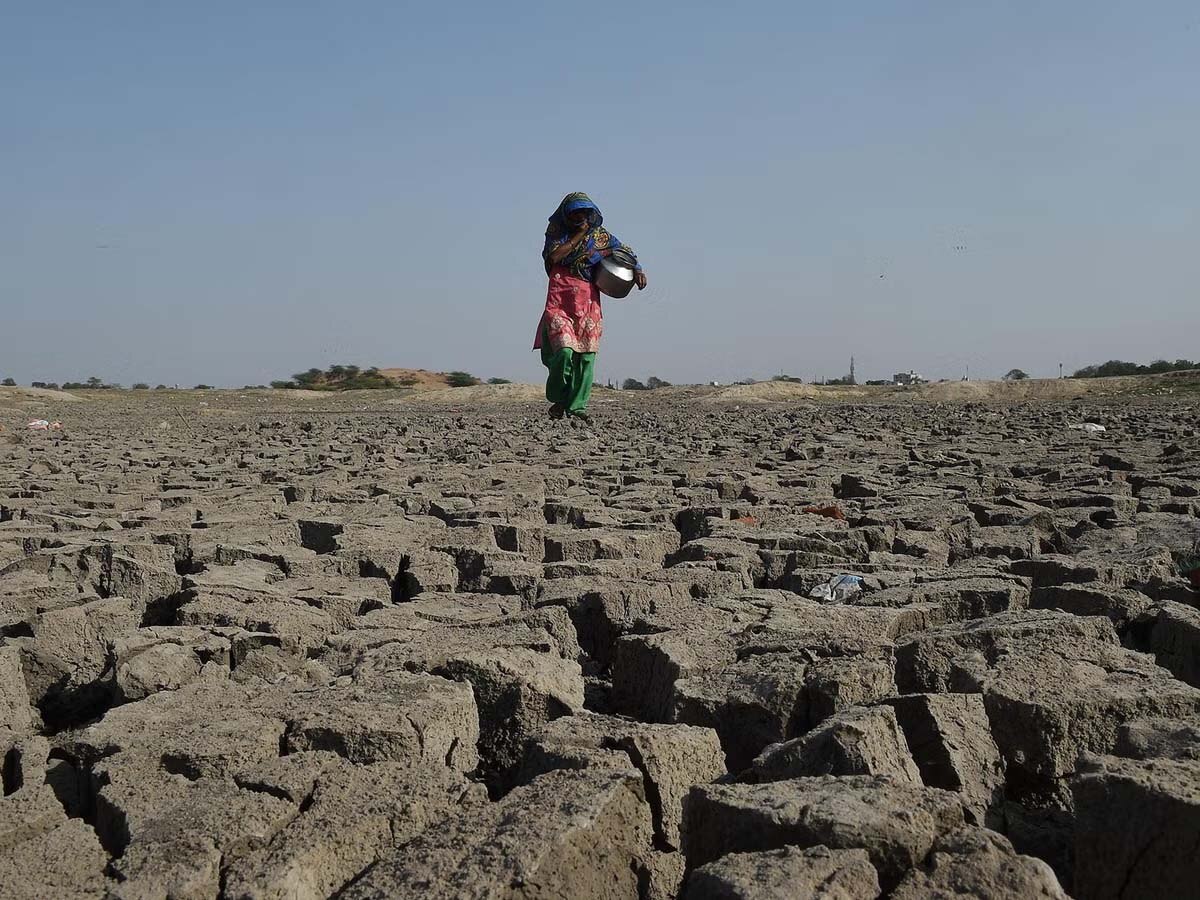 बारिश-बाढ़ के बीच इन इलाकों में नहीं हो रही बारिश, किसान हो रहे परेशान