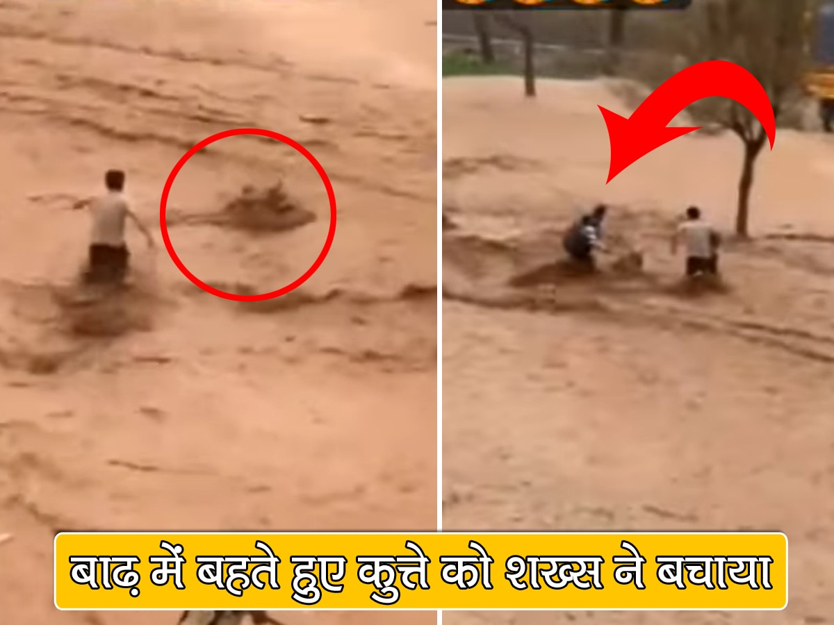 आवारा कुत्ते की जान बचाने के लिए बाढ़ में कूद गए दो शख्स, Video में देखें फिर क्या हुआ