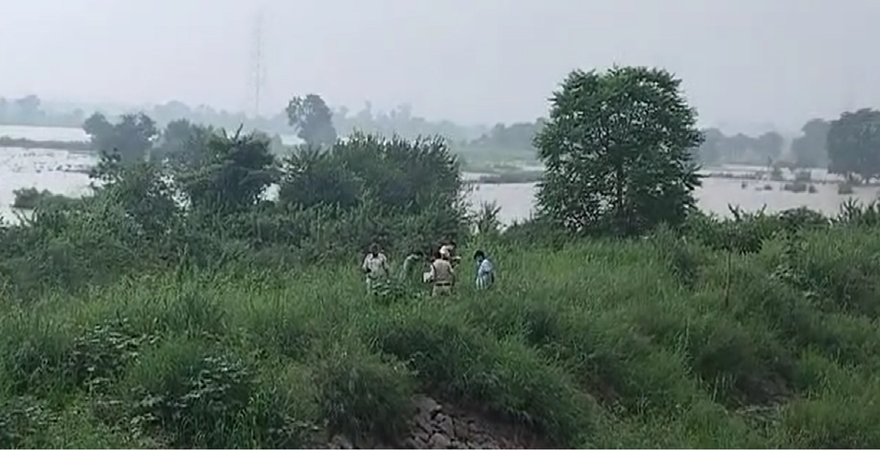 Delhi Murder Case: दिल्ली में कई टुकड़ों में महिला का शव मिलने से हड़कंप, जांच में जुटी पुलिस Delhi Murder Case: दिल्ली में कई टुकड़ों में महिला का शव मिलने से हड़कंप, जांच में जुटी पुलिस