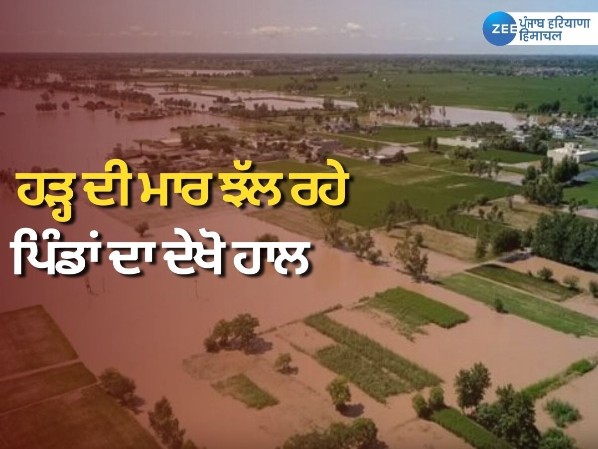 Punjab Flood News: ਪੰਜਾਬ 'ਚ ਹੜ੍ਹ ਦੀ ਮਾਰ ਝੱਲ ਰਹੇ ਲੋਕ, ਵੀਡੀਓ ਰਾਹੀਂ ਵੇਖੋ ਵੱਖ-ਵੱਖ ਜ਼ਿਲ੍ਹਿਆਂ ਦਾ ਹਾਲ