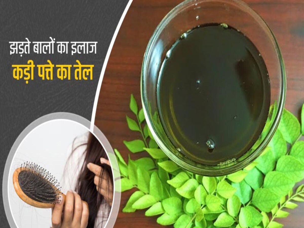 How To Make Anti Hair Fall Oil Curry Leaves For Hair Hindi News Hindi