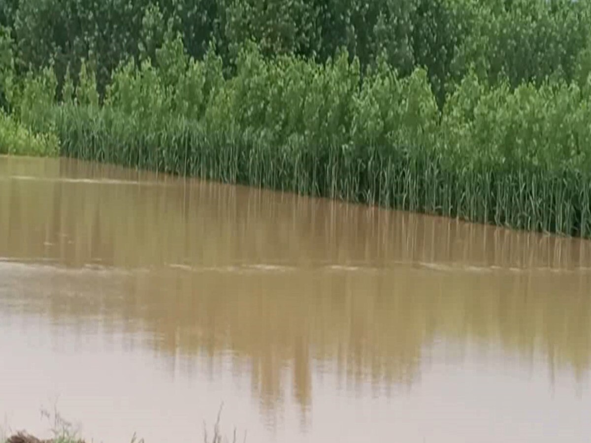 Farmer News: भारी बारिश के कारण किसानों की फसल को हुआ भारी नुकसान 