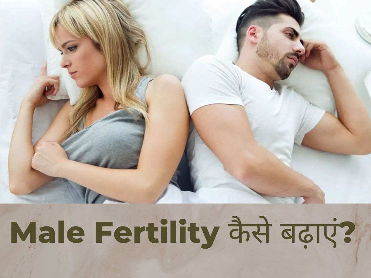 Male Fertility: लाख कोशिशों के बाद भी नहीं बन पा रहे हैं पिता? इन 3 फूड्स को खाने से बढ़ेगी पुरुषों की 'ताकत'