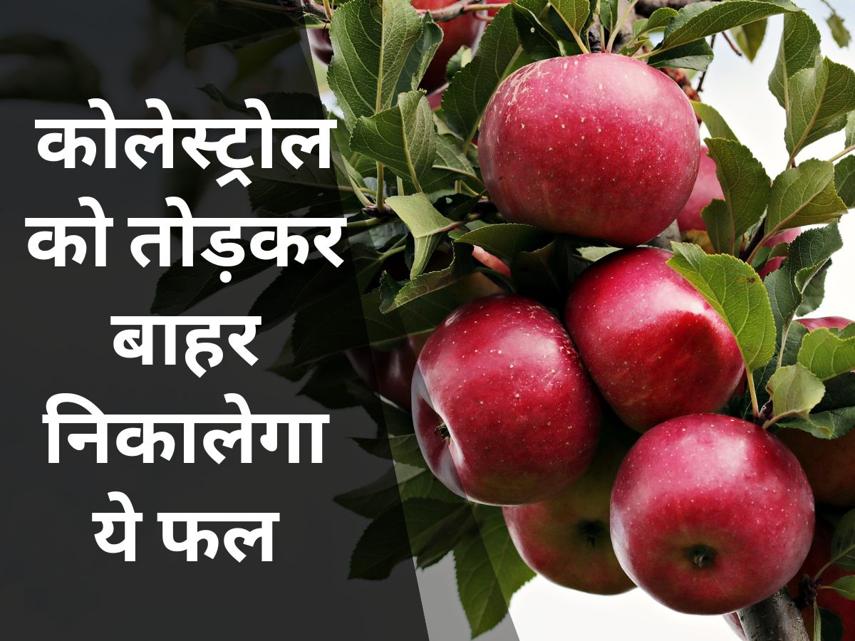High LDL cholesterol level will reduce naturally if 2 apples can be eat