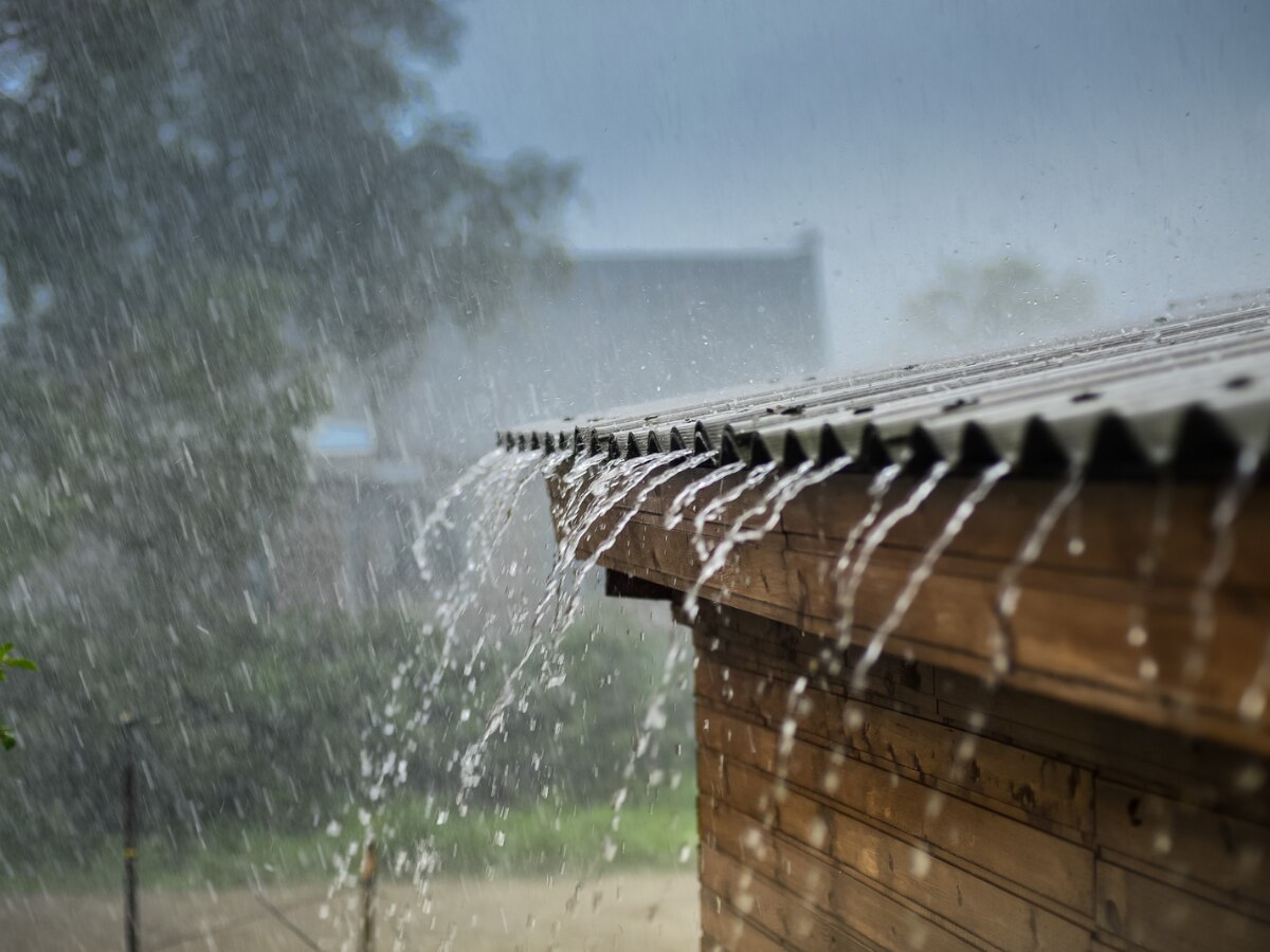 MP Weather News: मध्य प्रदेश और छत्तीसगढ़ में बरस रहे बदरा, इन जिलों में वज्रपात के साथ अति भारी बारिश का अलर्ट