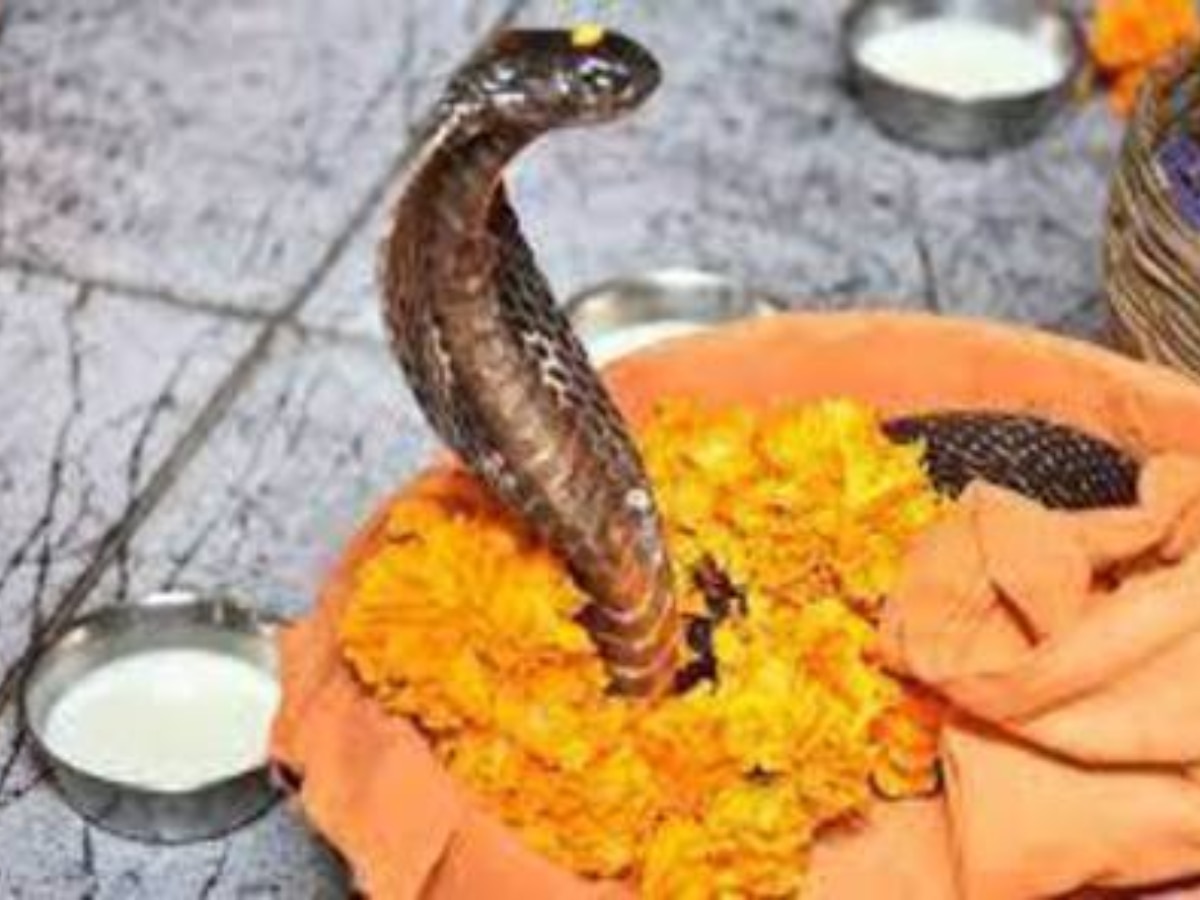 Nag Panchami 2023 Date:जाने कब है नाग पंचमी 2023 यहां जानिए तिथि पूजा विधि और मुहूर्त 