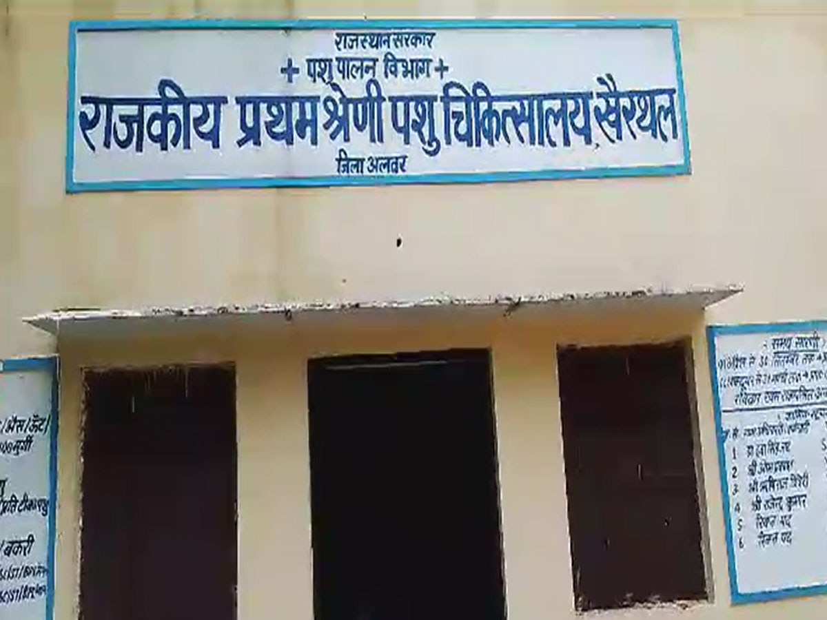 किशनगढ़ बास में एक कमरे में संचालित है पशु चिकित्सालय, लोग कर रहे जमीन की मांग