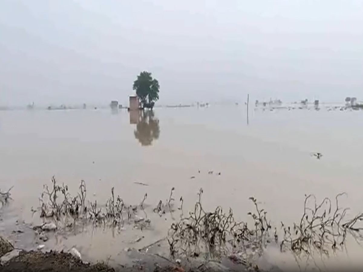 Haryana News: बाढ़ की चपेट में सोनीपत के गांव, दवाइयों और खाने की किल्लत
