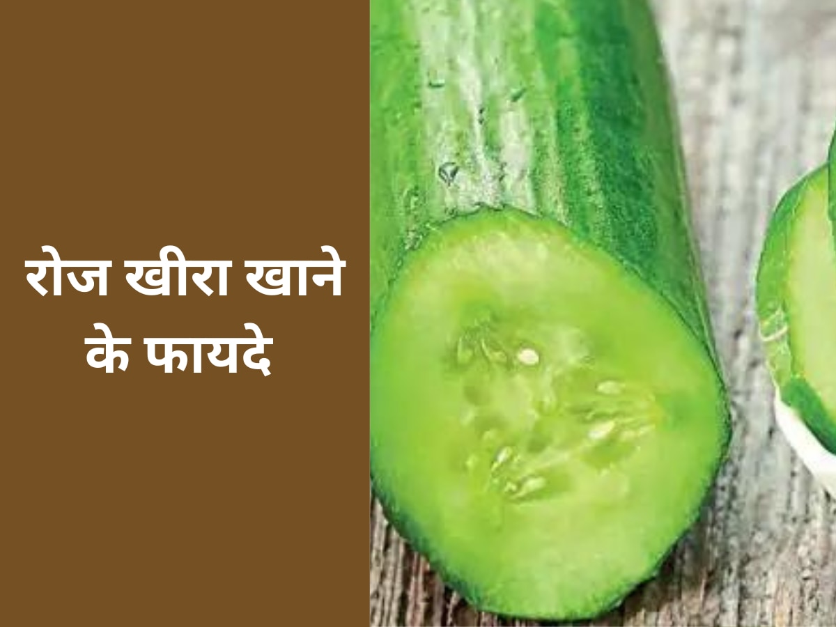 Cucumber: रोजाना जरूर खाएं खीरा, बॉडी को मिलेंगे ये बेमिसाल फायदे