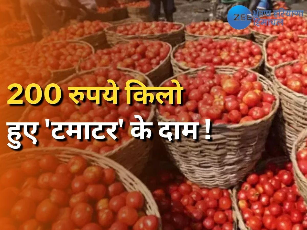 Tomato Rate: हिमाचल में जमीन पर पानी और आसमान पर पहुंचे सब्जियों के दाम, टमाटर हुआ 200 रुपये किलो! 