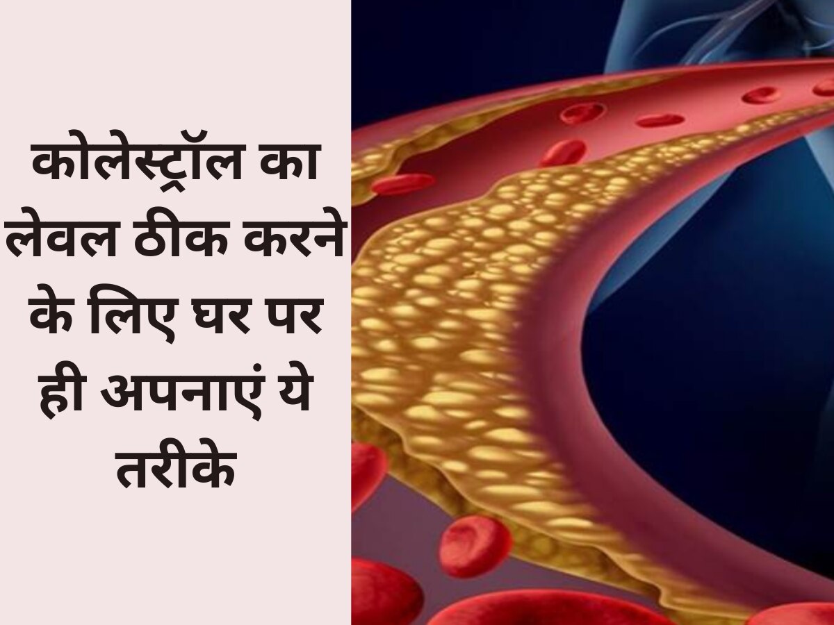 How To Reduce Cholesterol: कोलेस्ट्रॉल लेवल को कम करने के घरेलू उपाय