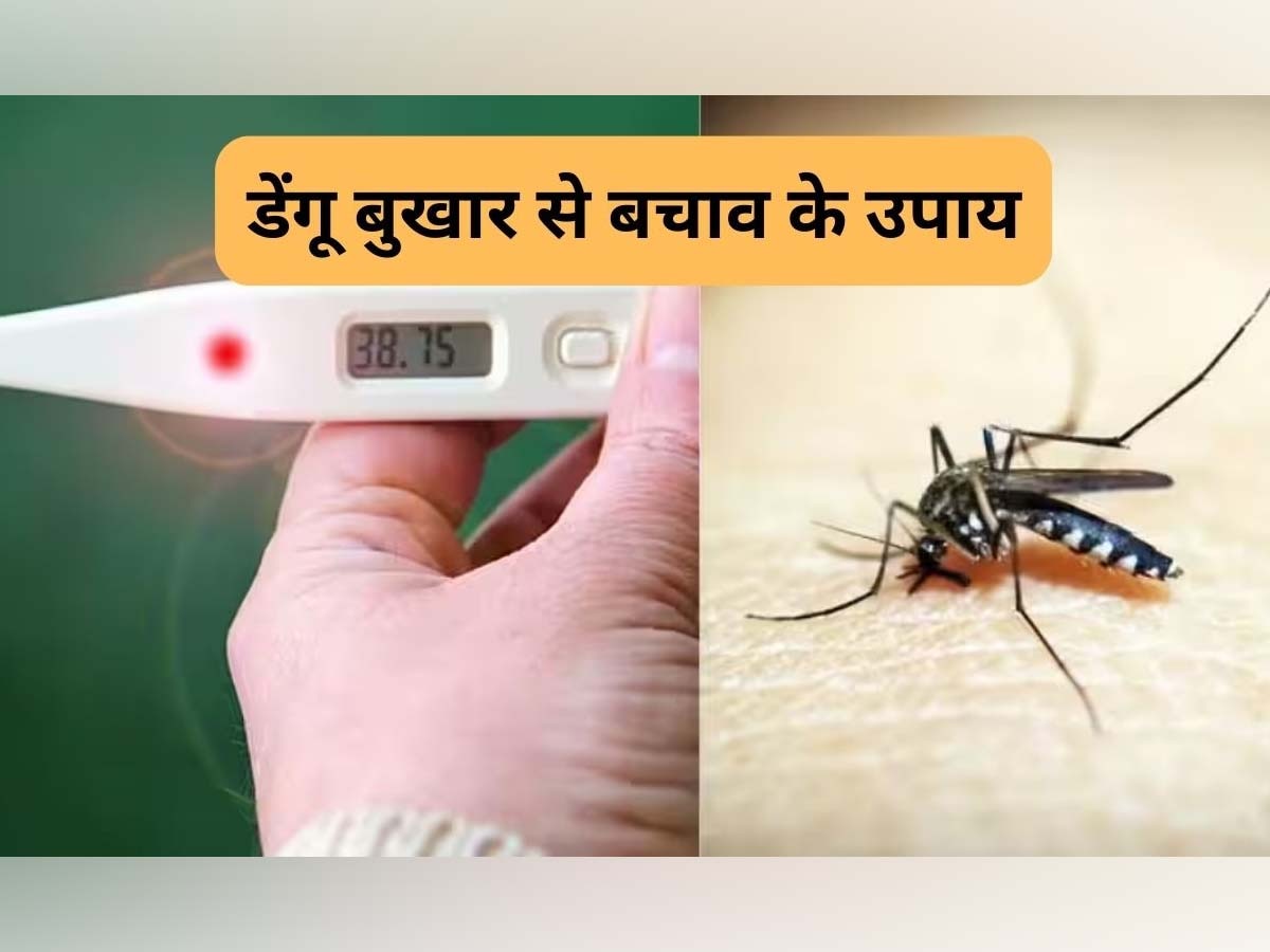 Dengue Fever Remedies: शरीर में दिखाई दें ये लक्षण तो तुरंत हो जाएं अलर्ट, डेंगू बुखार के हो सकते हैं संकेत; इलाज में देरी से जा सकती है जान