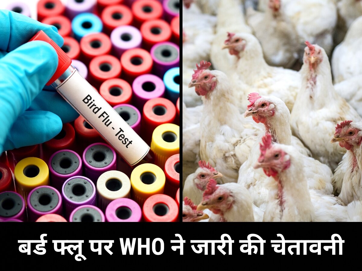 Bird Flu: इंसानों में आसानी से फैल सकता है बर्ड फ्लू, WHO ने जारी की ये बड़ी चेतावनी