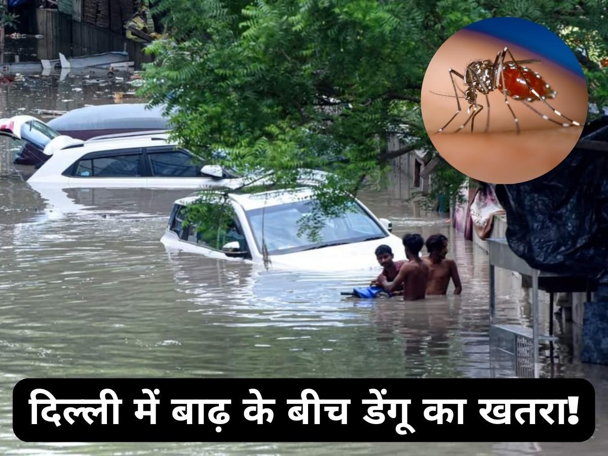 Delhi Flood: दिल्ली में बाढ़ के बीच बढ़ा डेंगू का खतरा! जान लीजिए लक्षण और बचाव के तरीके