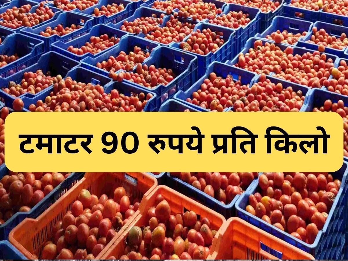 tomato rate in delhi