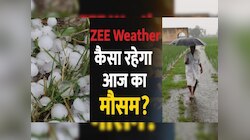 अभी और सताएगी बारिश! MP के 20 जिलों में अलर्ट, इन इलाकों में बिजली गिरने की आशंका