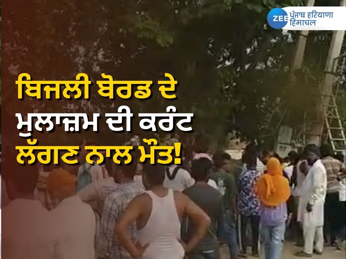 Punjab News: ਮੰਦਭਾਗੀ ਖ਼ਬਰ! ਟਰਾਂਸਫਾਰਮਰ ਠੀਕ ਕਰਦੇ ਹੋਏ ਬਿਜਲੀ ਬੋਰਡ ਦੇ ਮੁਲਾਜ਼ਮ ਦੀ ਕਰੰਟ ਲੱਗਣ ਨਾਲ ਦਰਦਨਾਕ ਮੌਤ 