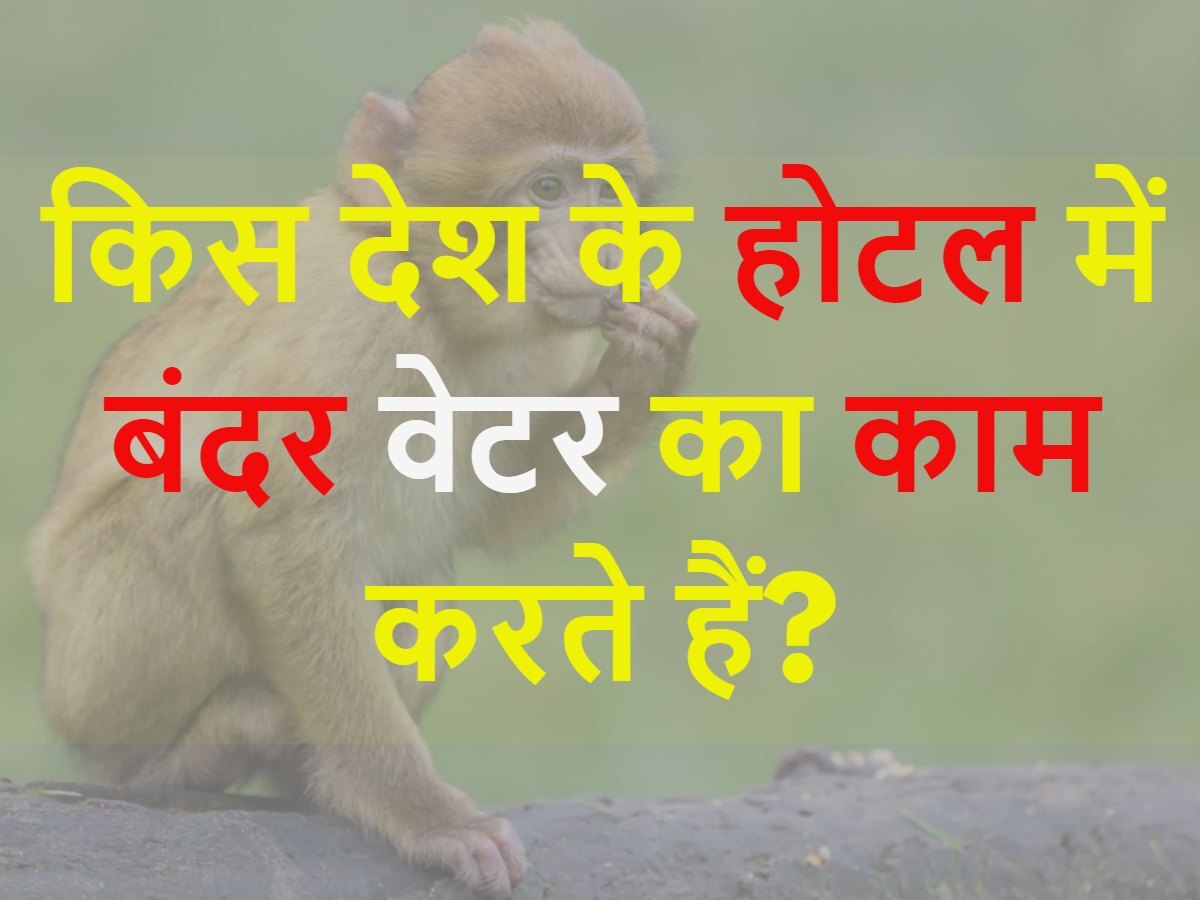 Quiz: किस देश के होटल में बंदर वेटर का काम करते हैं?