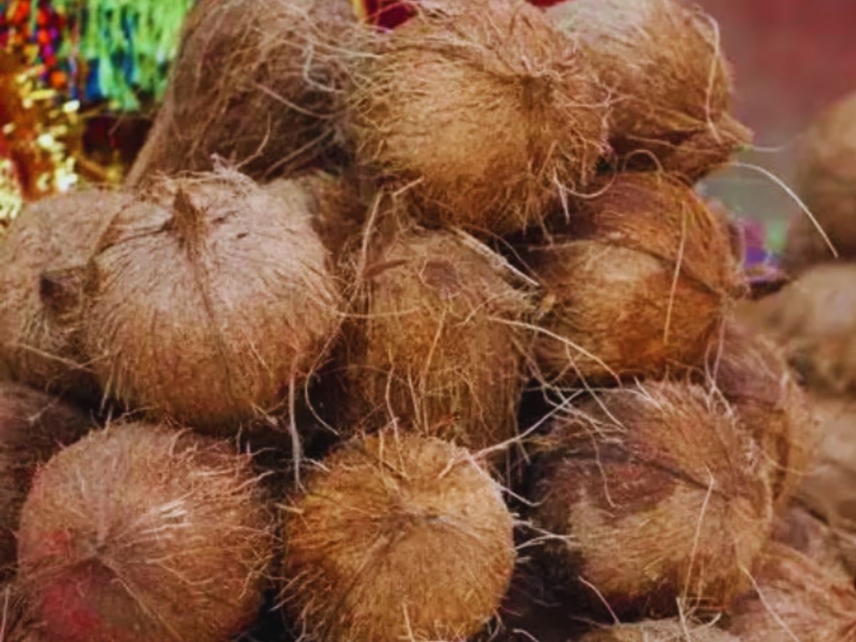 शनिवार को नारियल करें विसर्जन
