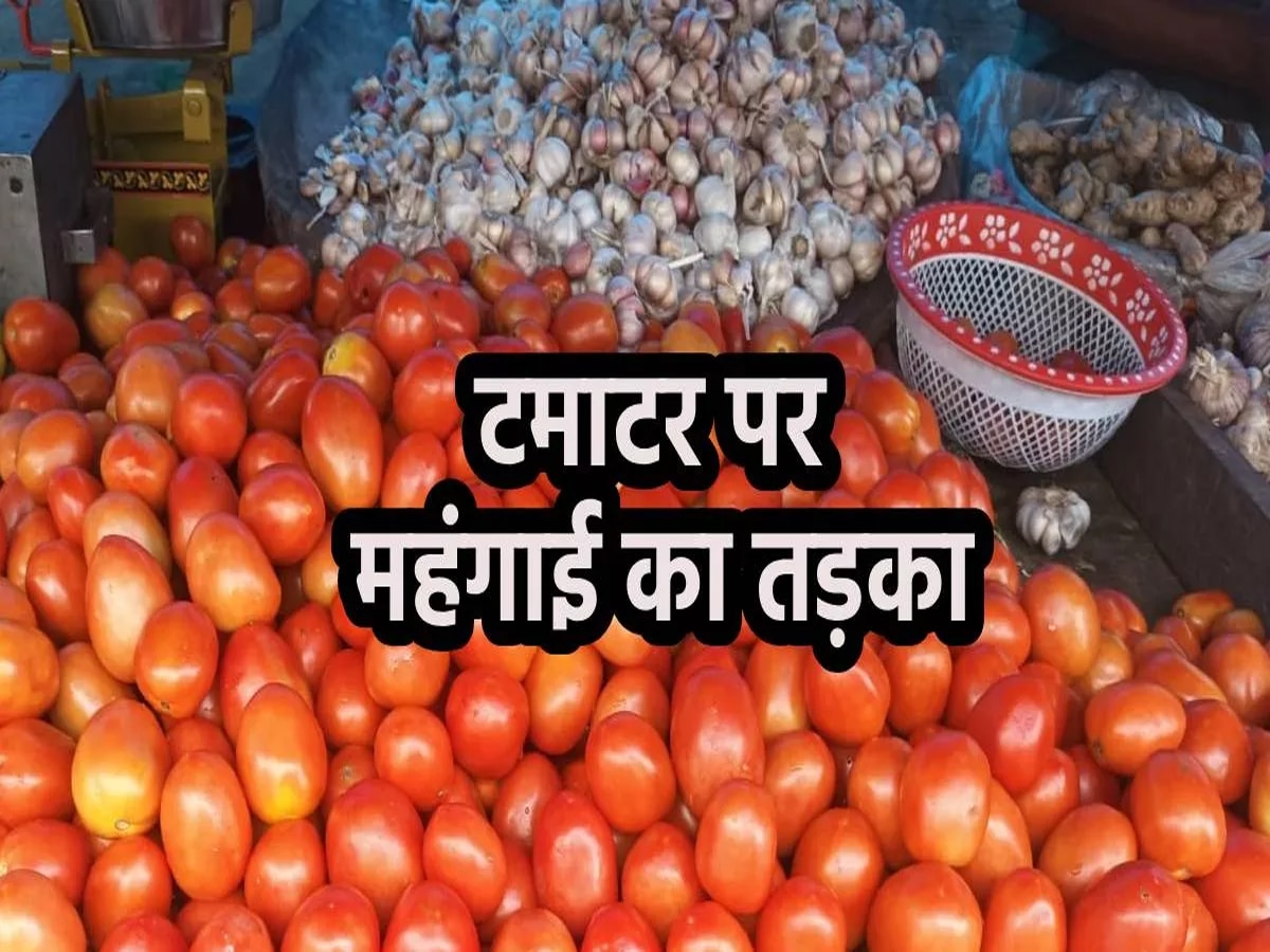 Tomato Price: टमाटर की कीमत में फिर लगी आग, यहां का भाव जानकर उड़ जाएगा होश, खरीदने से कतरा रहे लोग