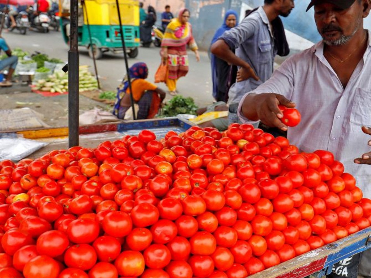 Tomatoes Wholesale Rate Down: टमाटर की थोक कीमत में 29% की गिरावट, फिर क्यों कम नहीं हो रहे दाम