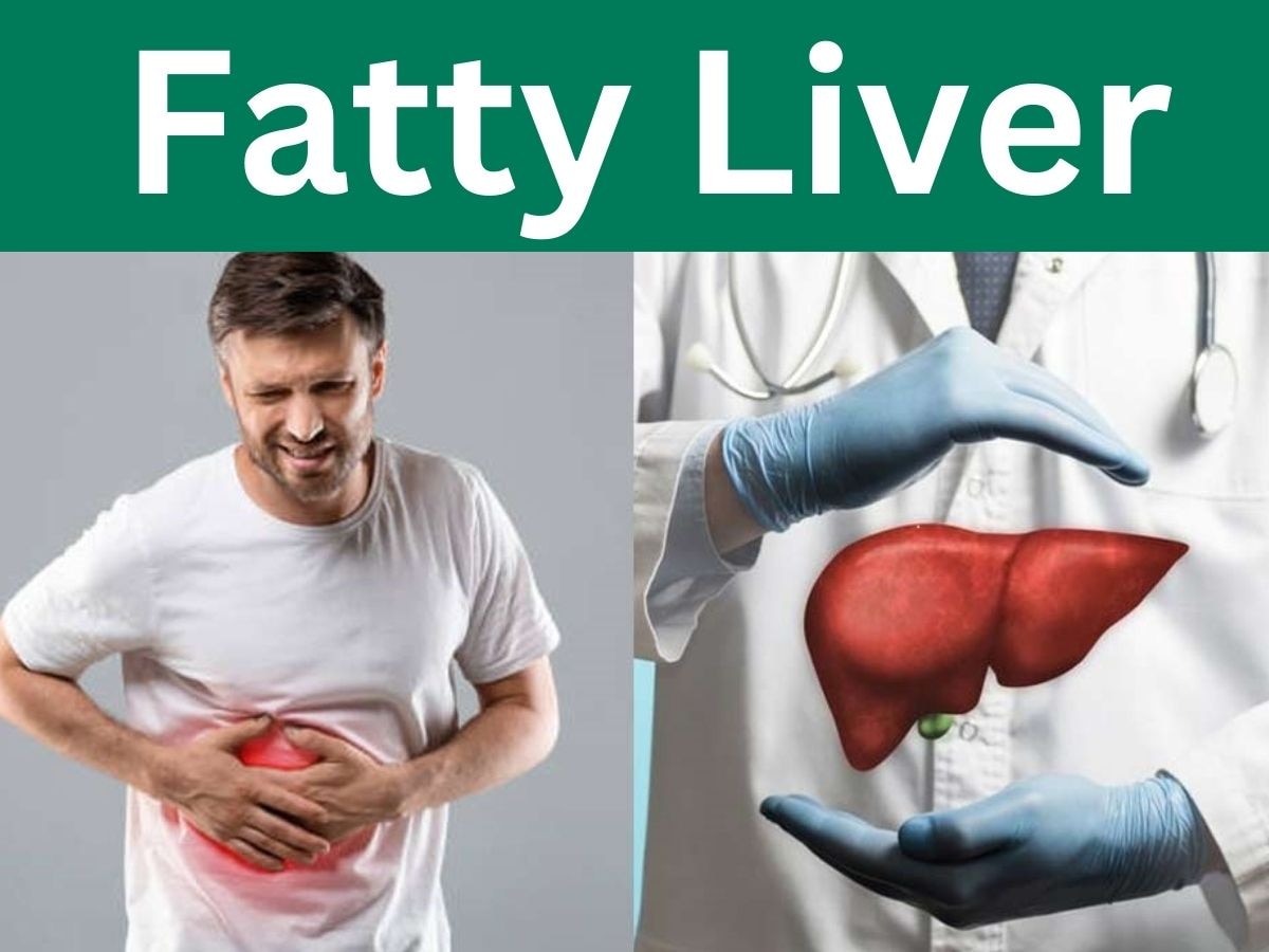 Fatty Liver की प्रॉबलम कहीं निकाल न ले आपकी जान, इस जड़ी बूटी की मदद से दूर करें खौफ