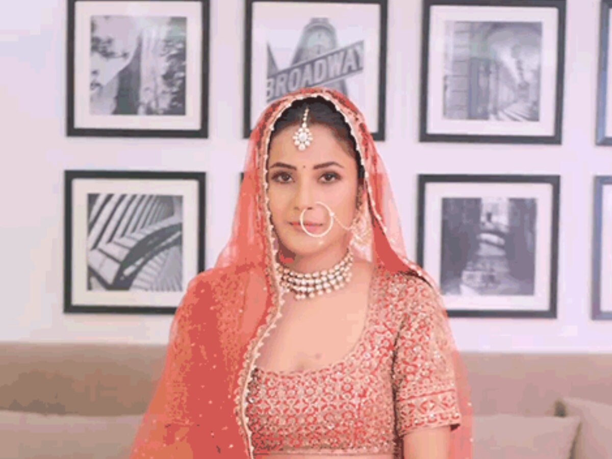Shehnaaz Gill bridal look watch video | Shehnaaz Gill: दुल्हन बन इतराई  शहनाज गिल, हाथों में रचाई मेंहदी लोग बोले कब है शादी? | Zee News Hindi