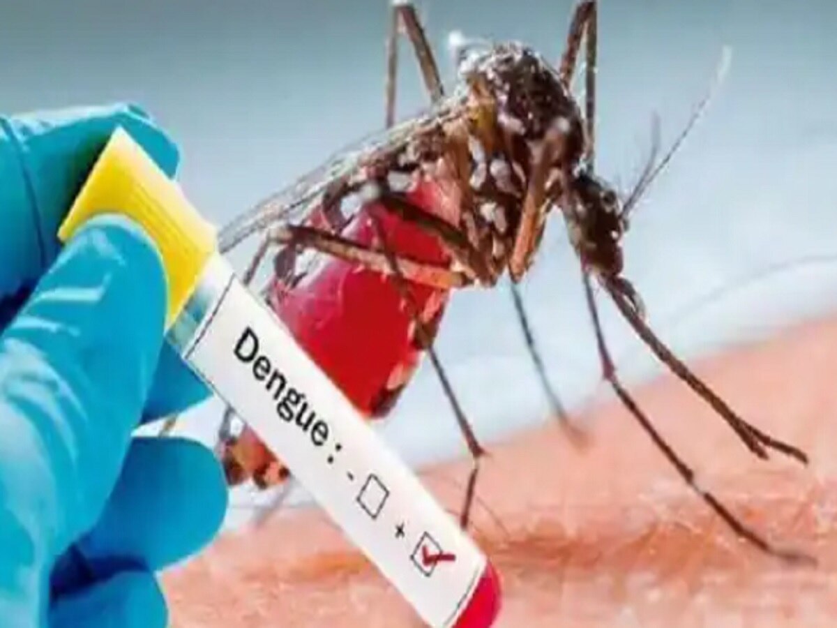 Dengue in Bihar: बिहार पर 'बाढ़' के बाद अब मंडरा 'डेंगू' का कहर, इन जिलों में बढ़ रही मरीजों की संख्या
