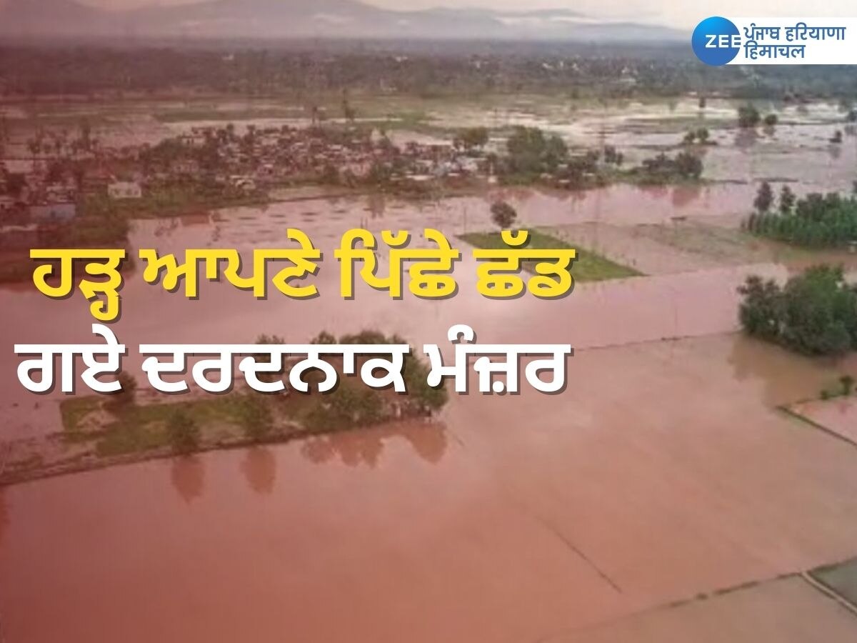 Punjab Flood News: ਹੜ੍ਹ ਆਪਣੇ ਪਿੱਛੇ ਛੱਡ ਗਏ ਦਰਦਨਾਕ ਮੰਜ਼ਰ; ਕਿਸਾਨਾਂ ਦੀਆਂ ਫਸਲਾਂ ਤਬਾਹ, ਘਰਾਂ ਦਾ ਵੀ ਹੋਇਆ ਨੁਕਸਾਨ 