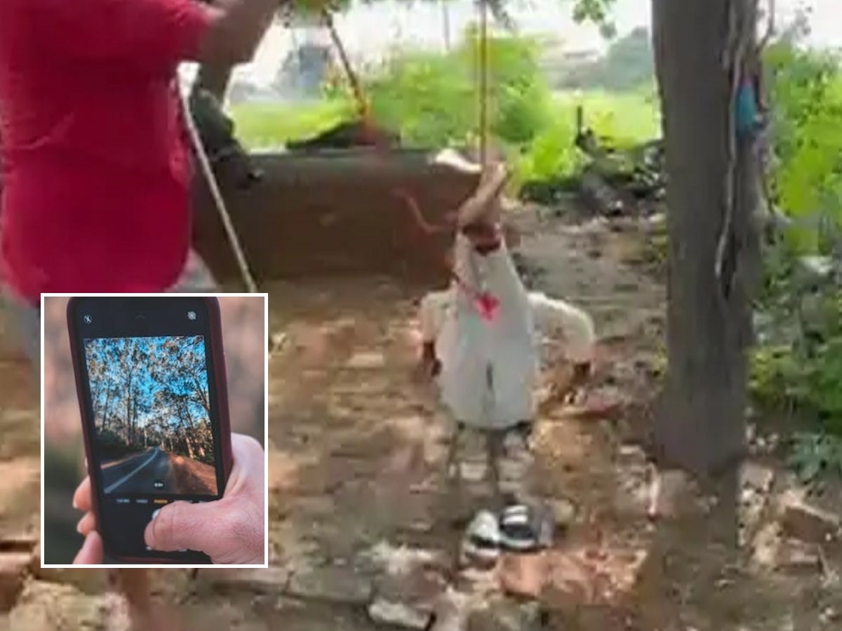 Video Call: मजदूर को पेड़ पर उल्टा लटकाकर पीटा..घरवालों को वीडियो कॉल पर दिखाया, फिर ऐसा काम कराया!