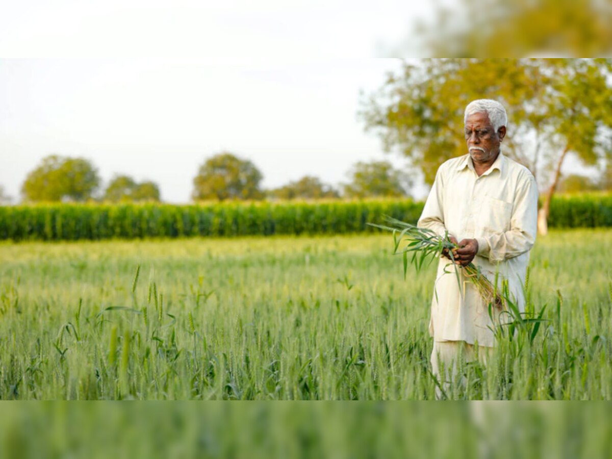 Farmers: किसानों के लिए बड़ी खबर, सरकार अब उठानी वाली है ये कदम, इस पर दिया जाएगा ध्यान