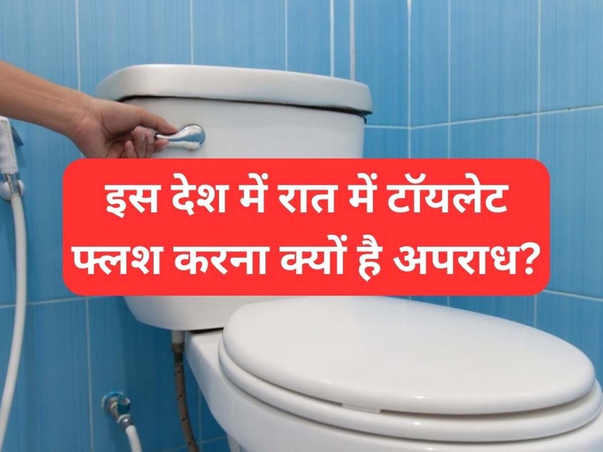 Toilet Flush Rules at Night: इस देश में रात में टॉयलेट फ्लश करना है अपराध? आखिर क्यों बनाया गया है ऐसा कानून 